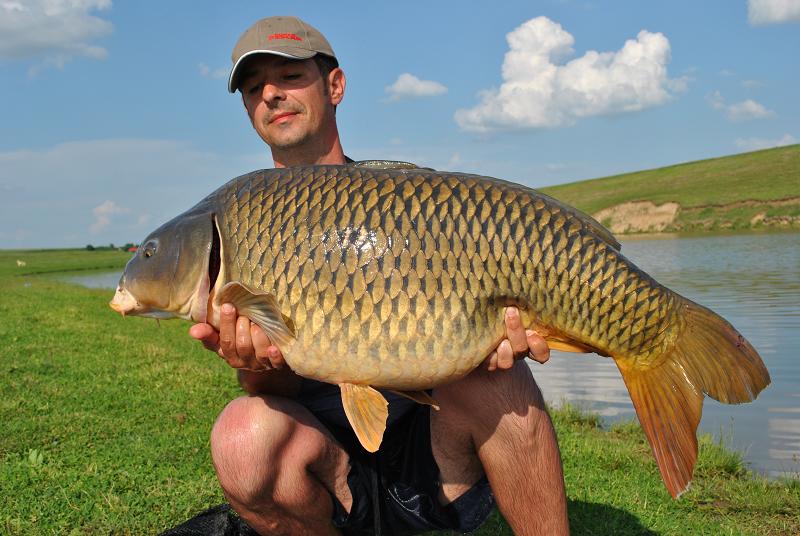 Critic echilibrate pentru crap mare